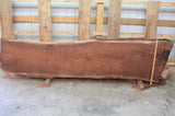 Black Walnut Live edge