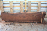 Black Walnut Live edge