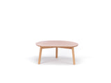 YYY coffee table (421 423)