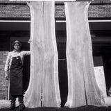 Black Walnut Live edge