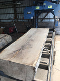 Black Walnut Live edge
