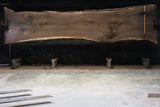 Black Walnut Live edge
