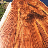 Black Walnut Live edge