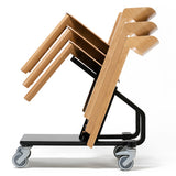 Merano trolley (799 405)