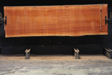 Black Walnut Live edge